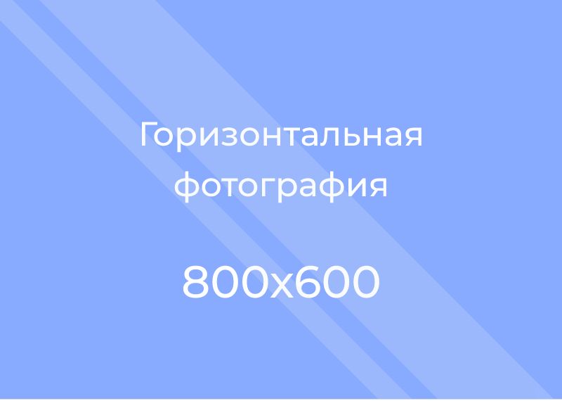 Ковчина Дина Юрьевна.
